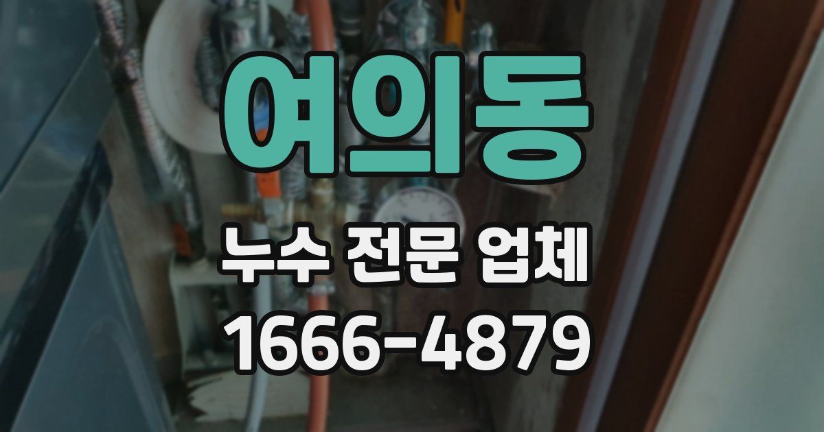여의동 누수 전문 업체