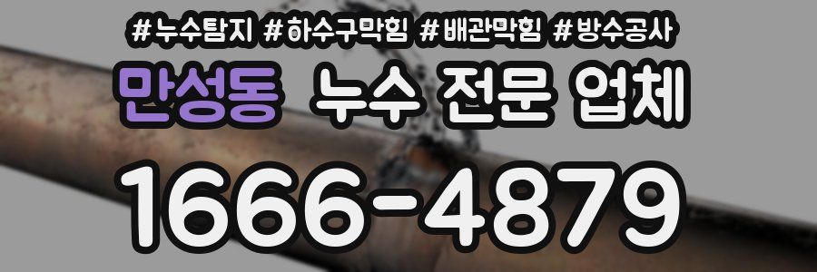 만성동 누수 전문 업체