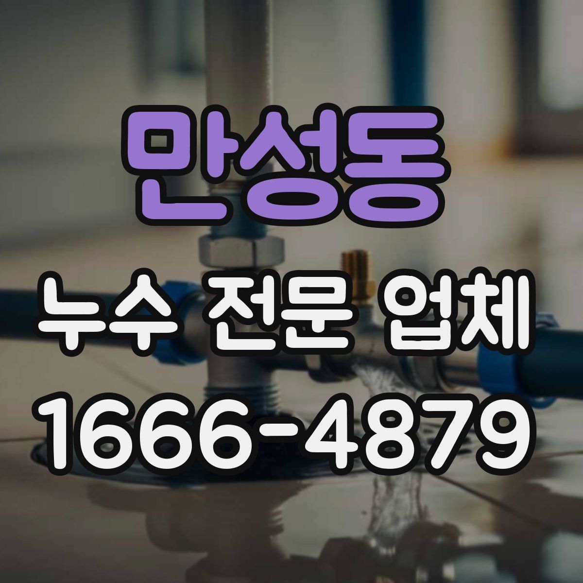 만성동 누수 전문 업체