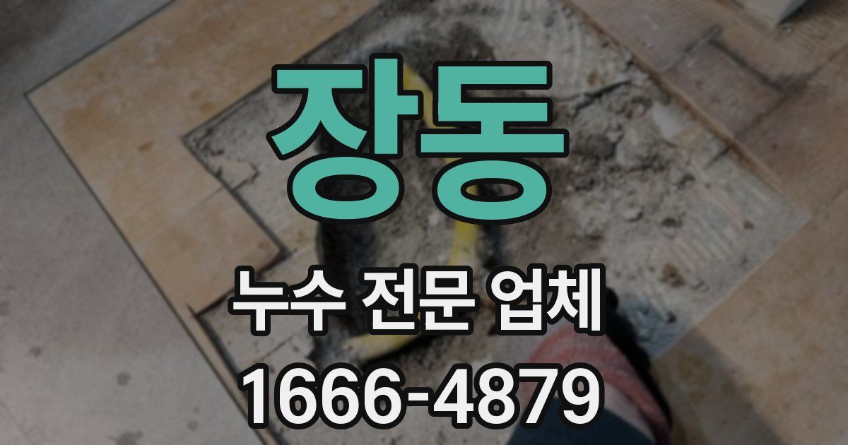 장동 누수 전문 업체
