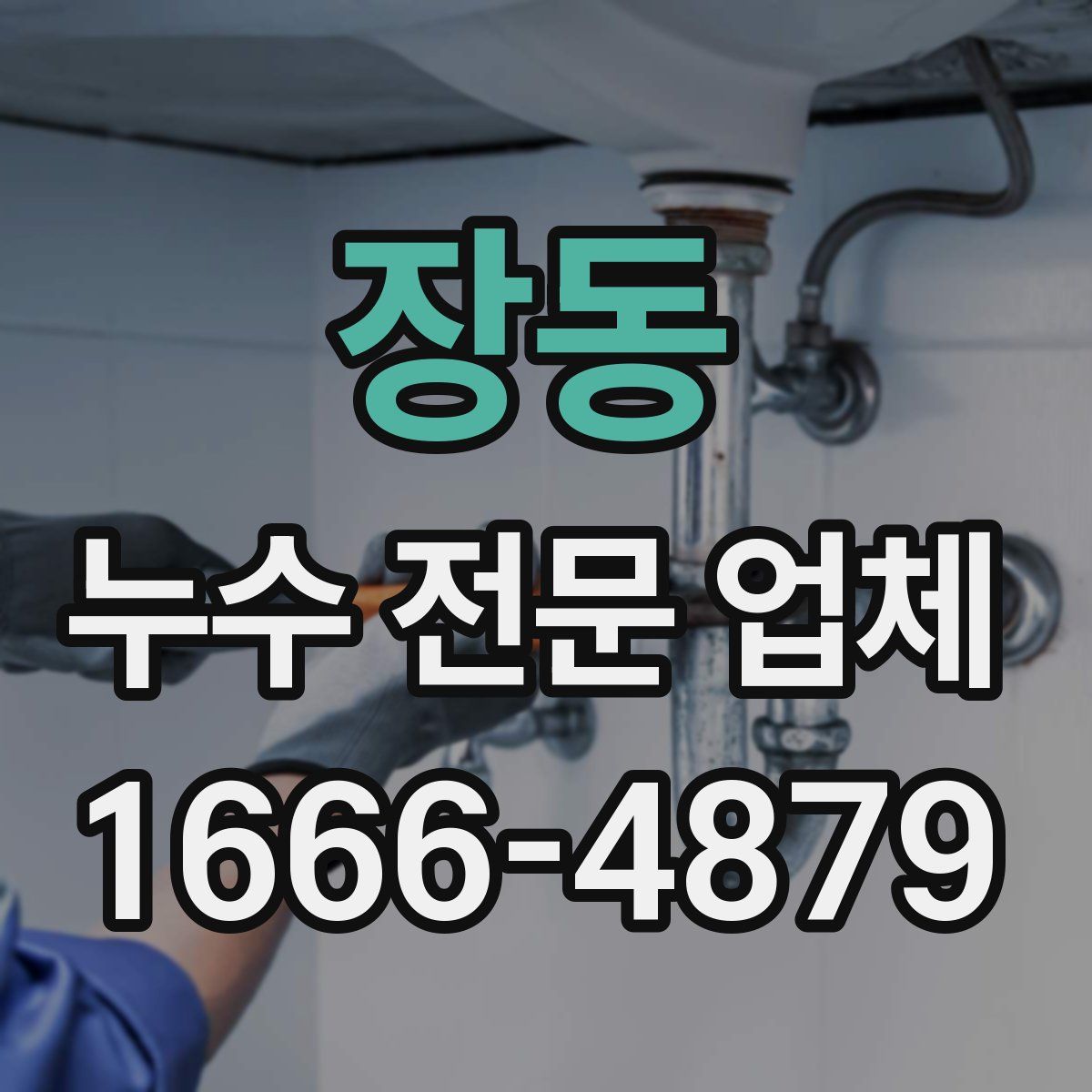 장동 누수 전문 업체