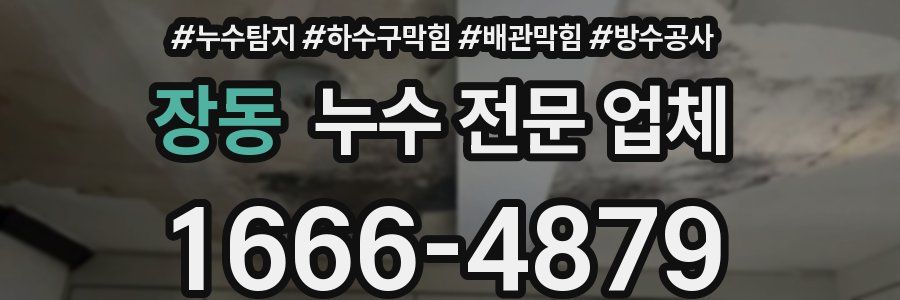 장동 누수 전문 업체