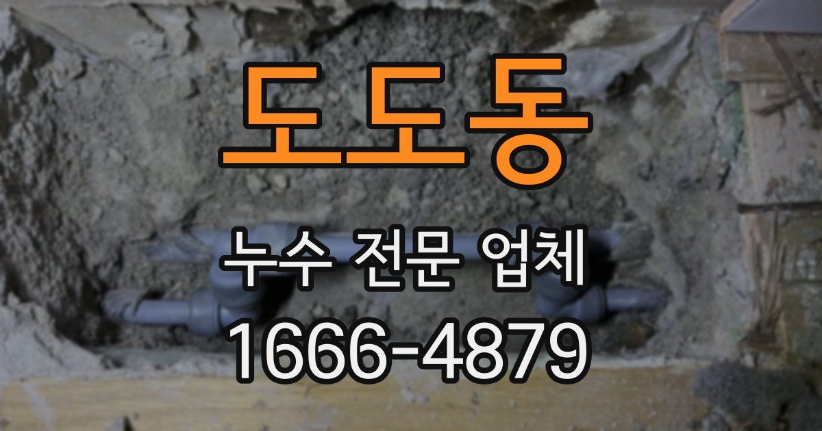 도도동 누수 전문 업체