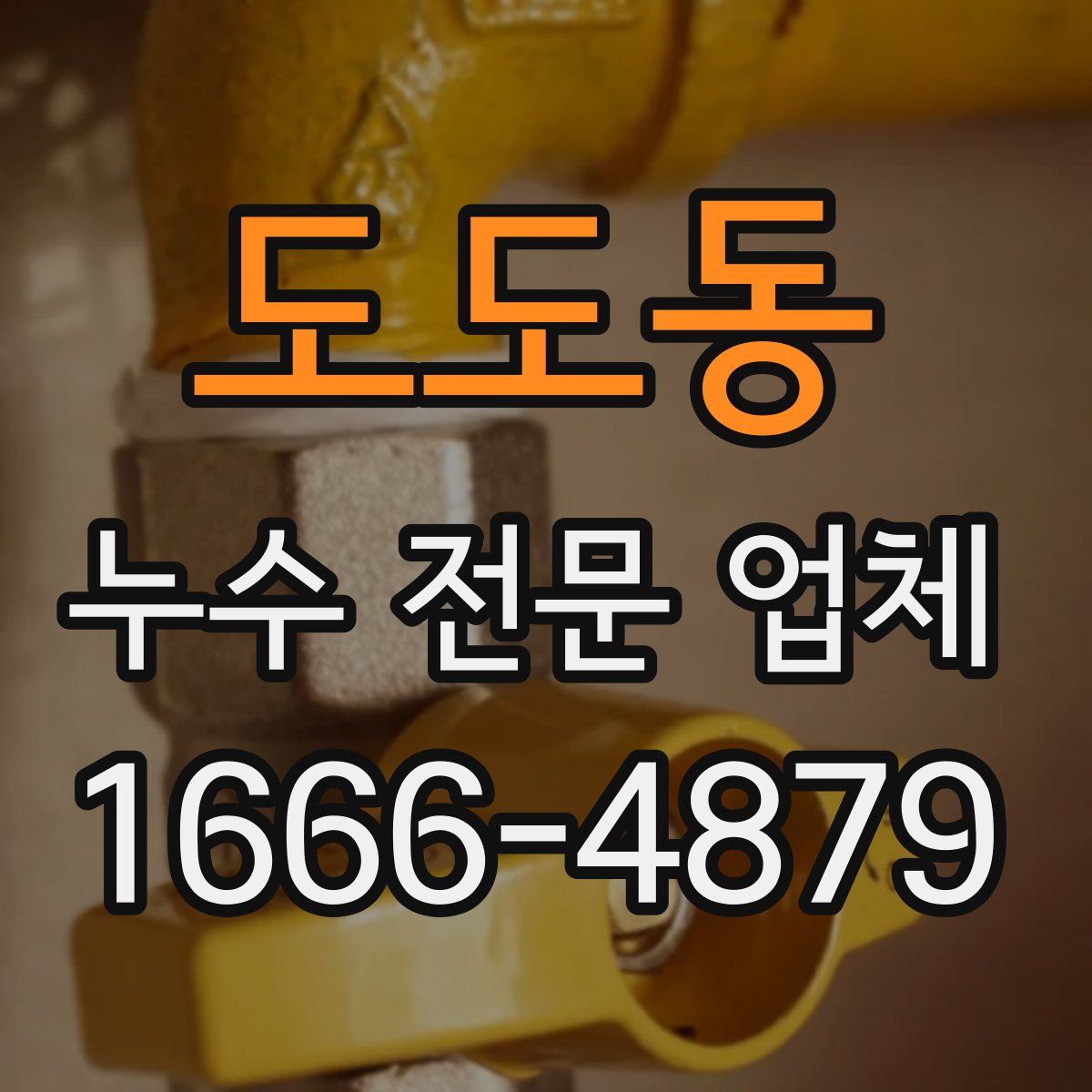 도도동 누수 전문 업체