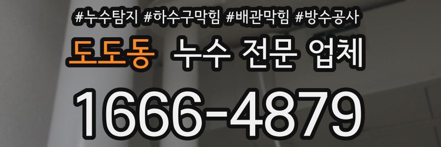 도도동 누수 전문 업체
