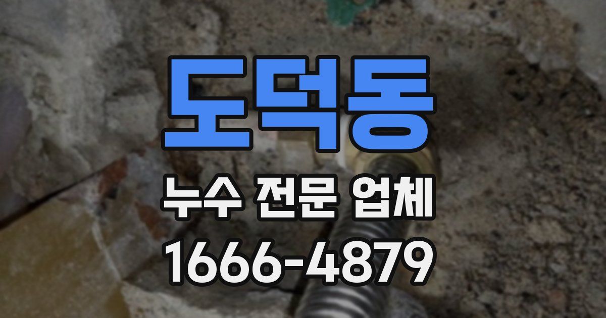 도덕동 누수 전문 업체