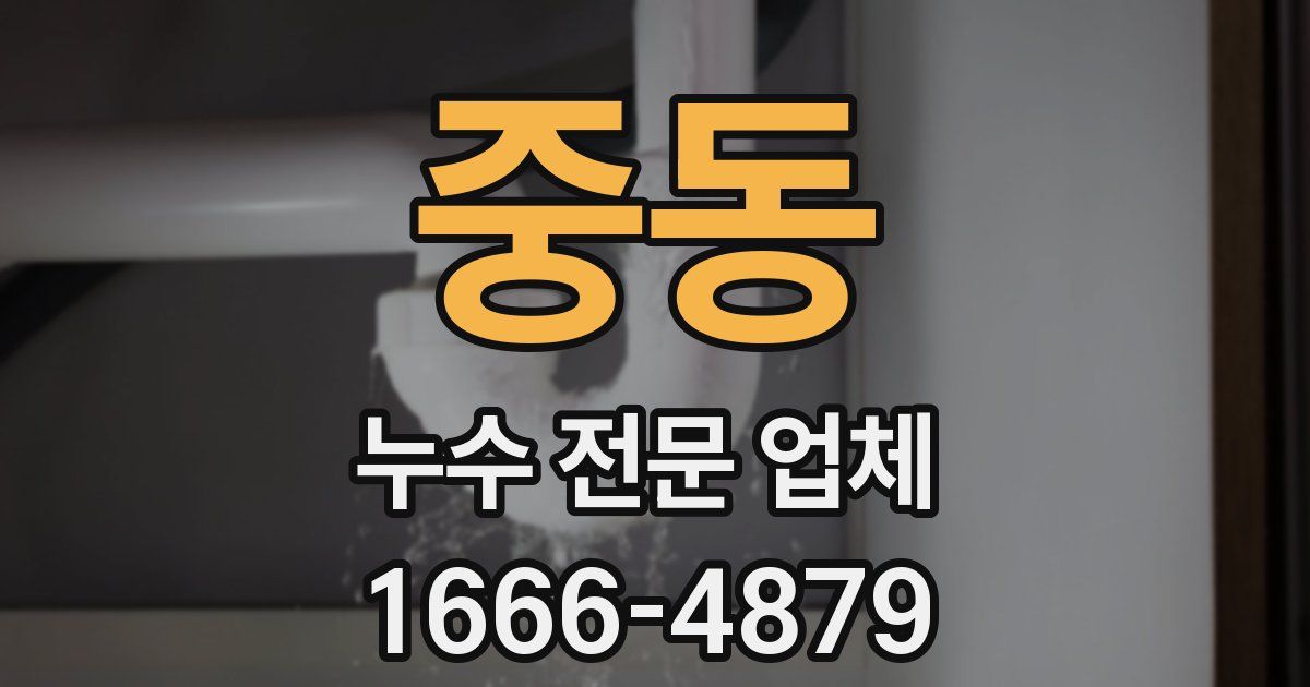 중동 누수 전문 업체