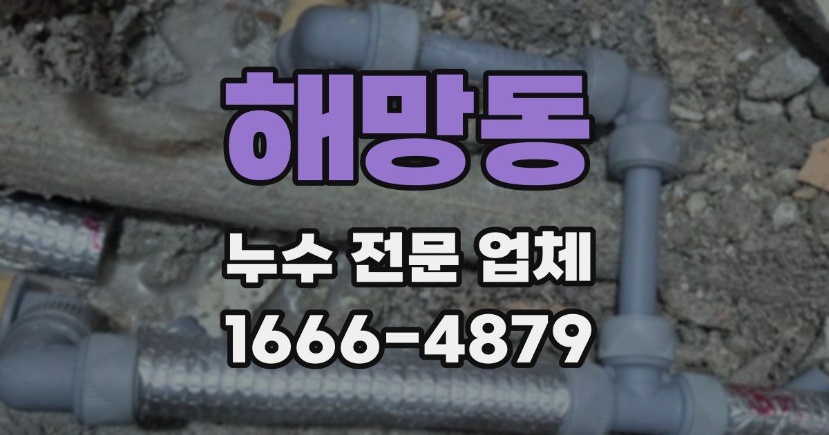 해망동 누수 전문 업체