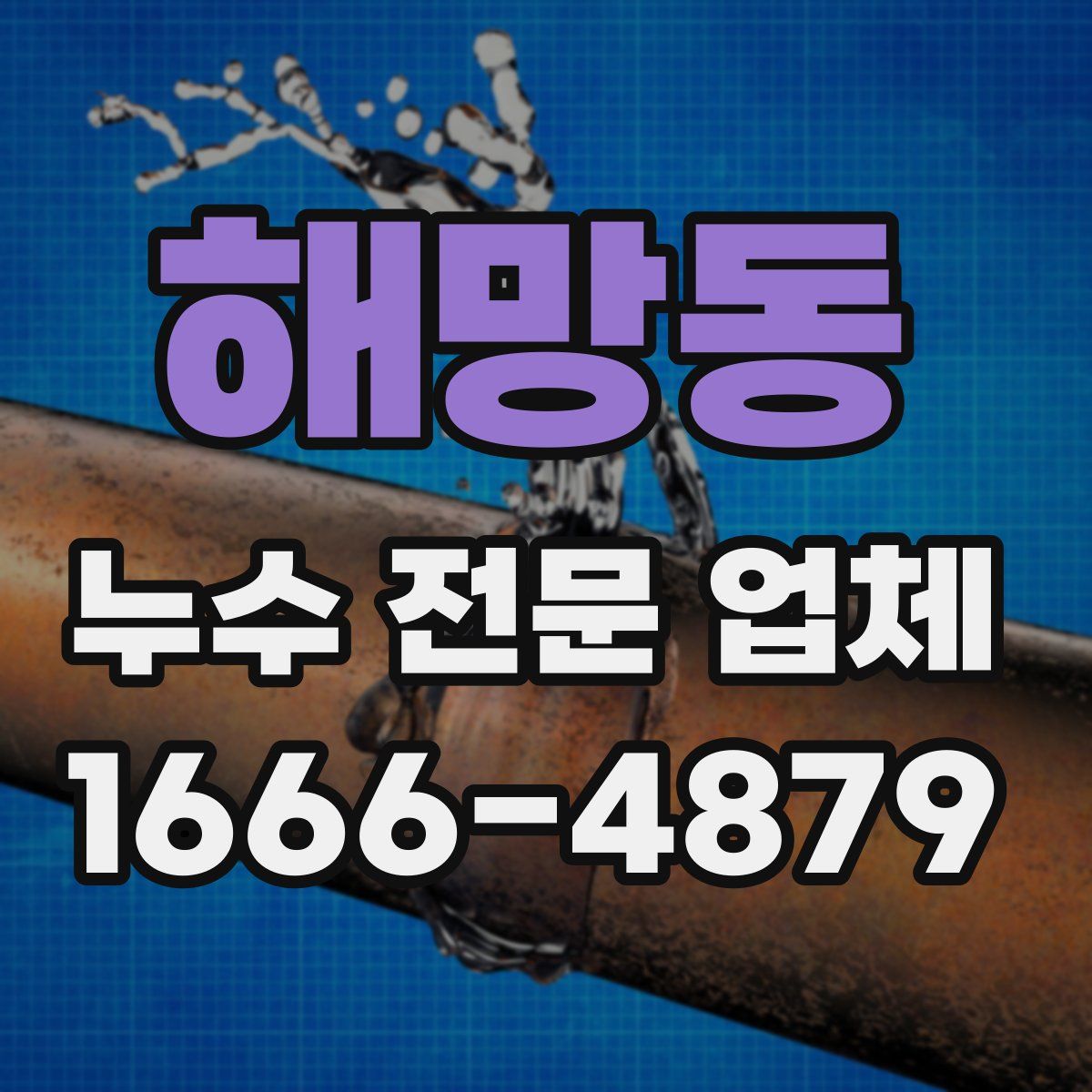 해망동 누수 전문 업체