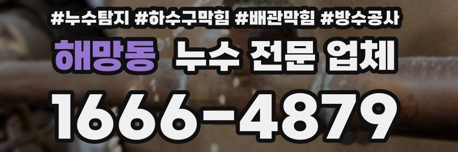해망동 누수 전문 업체