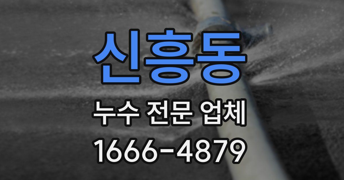 신흥동 누수 전문 업체