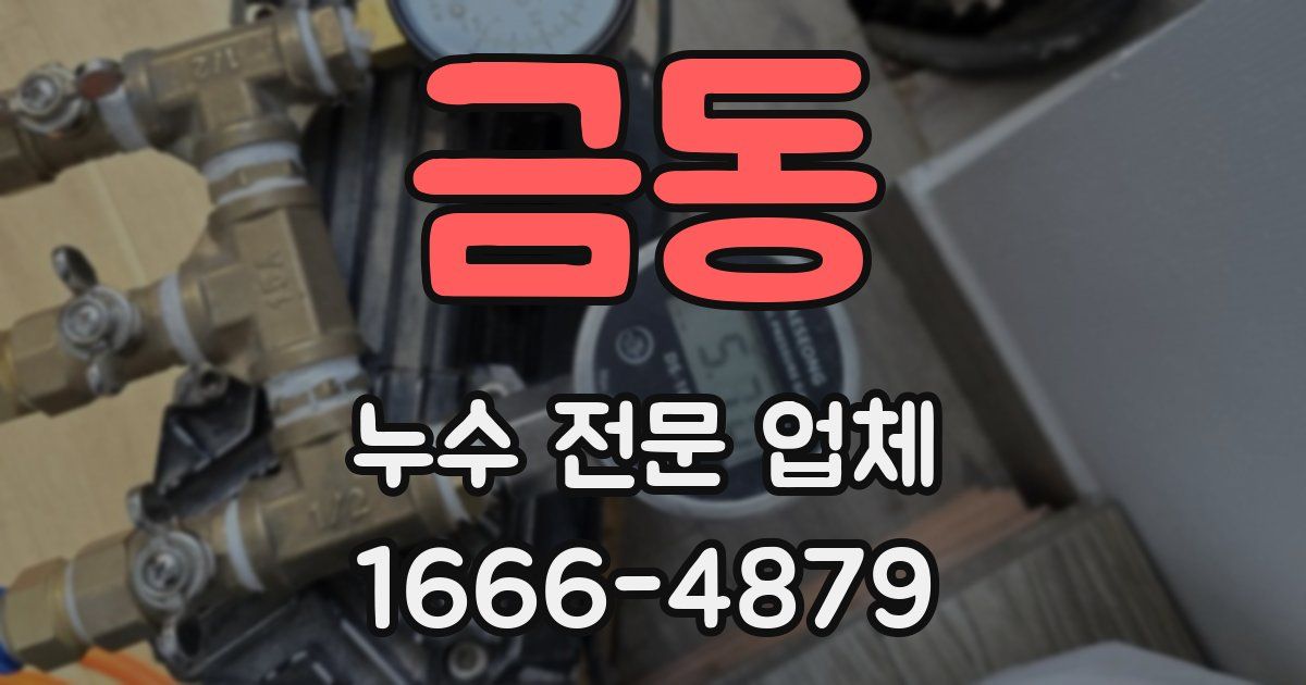 금동 누수 전문 업체