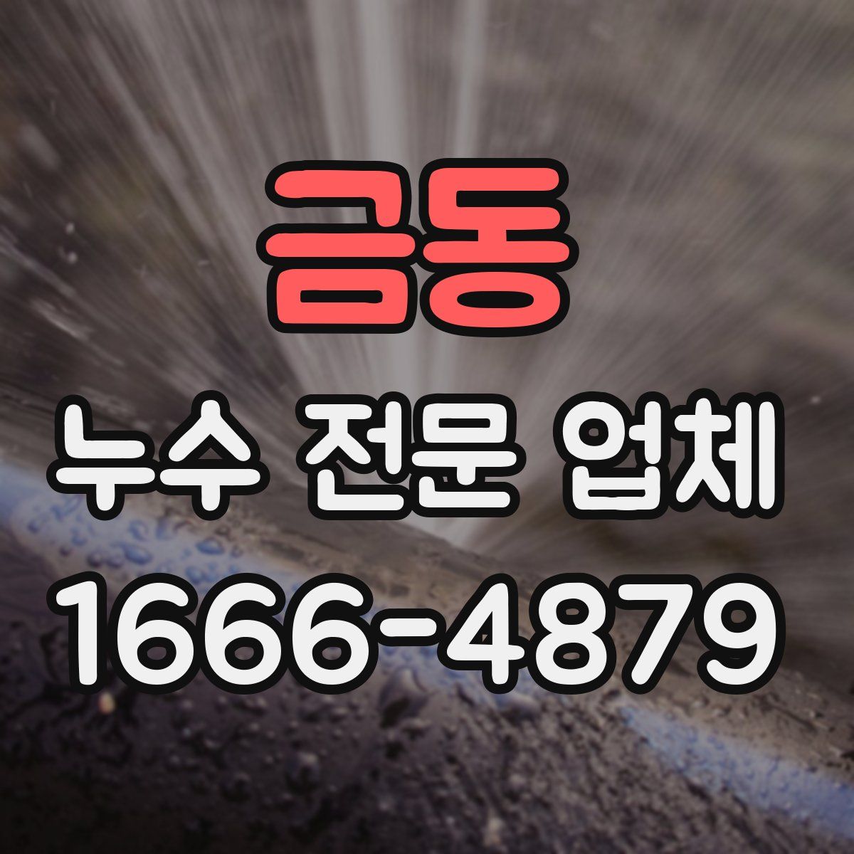 금동 누수 전문 업체