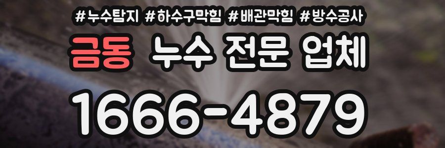 금동 누수 전문 업체