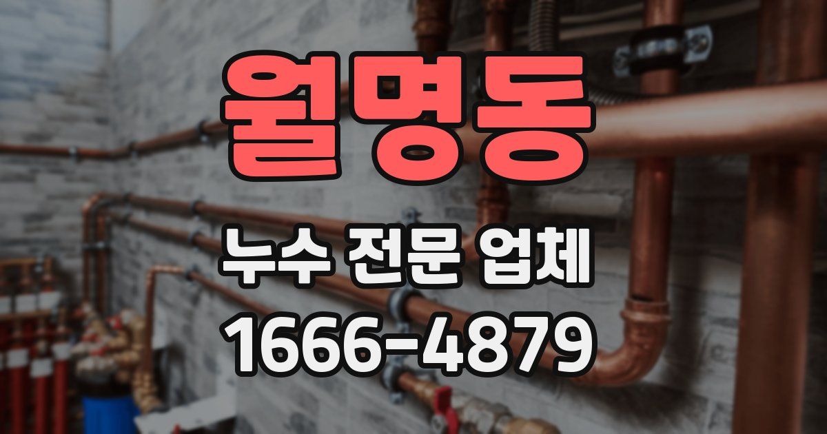 월명동 누수 전문 업체