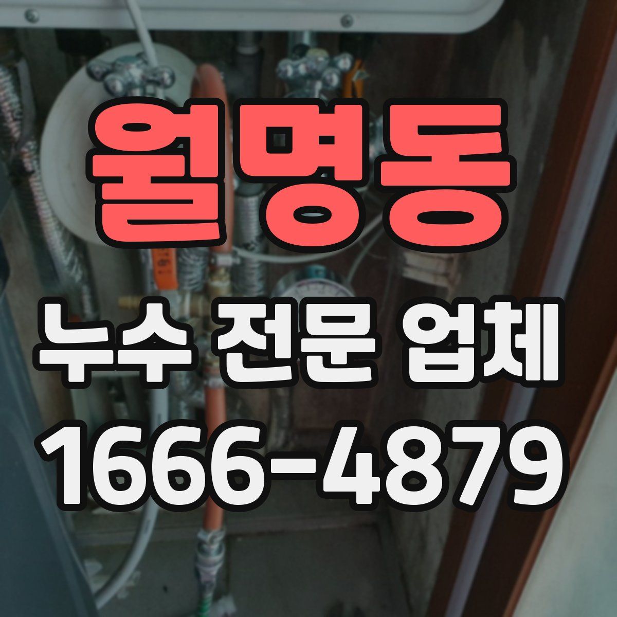 월명동 누수 전문 업체