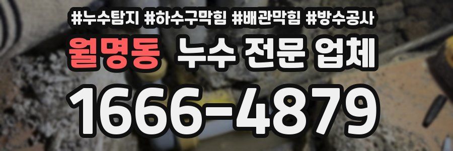 월명동 누수 전문 업체
