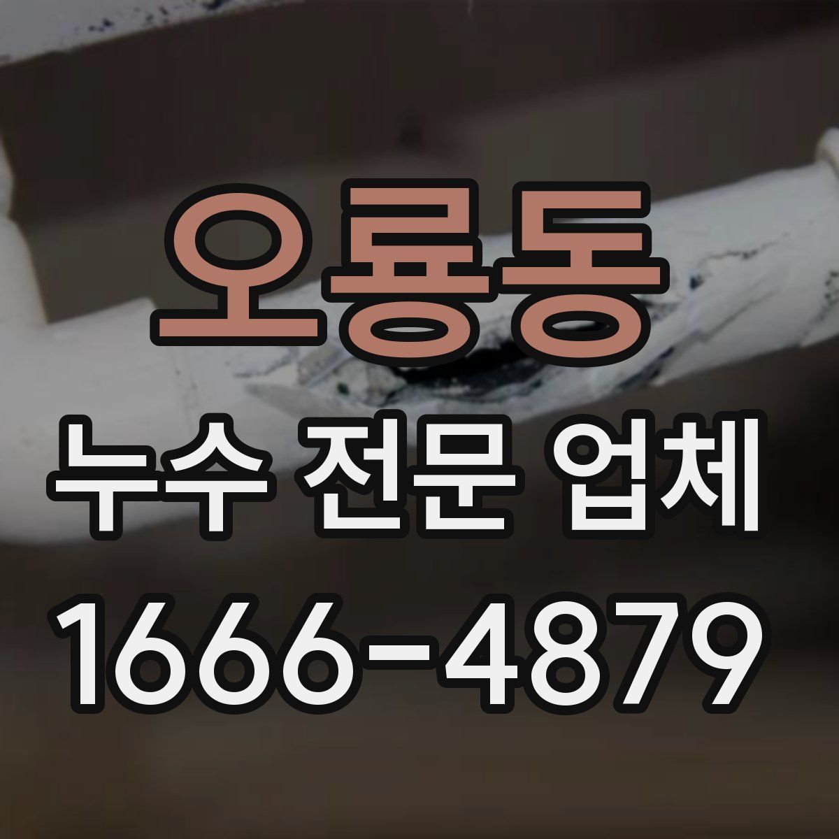 오룡동 누수 전문 업체