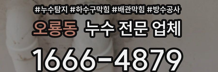 오룡동 누수 전문 업체