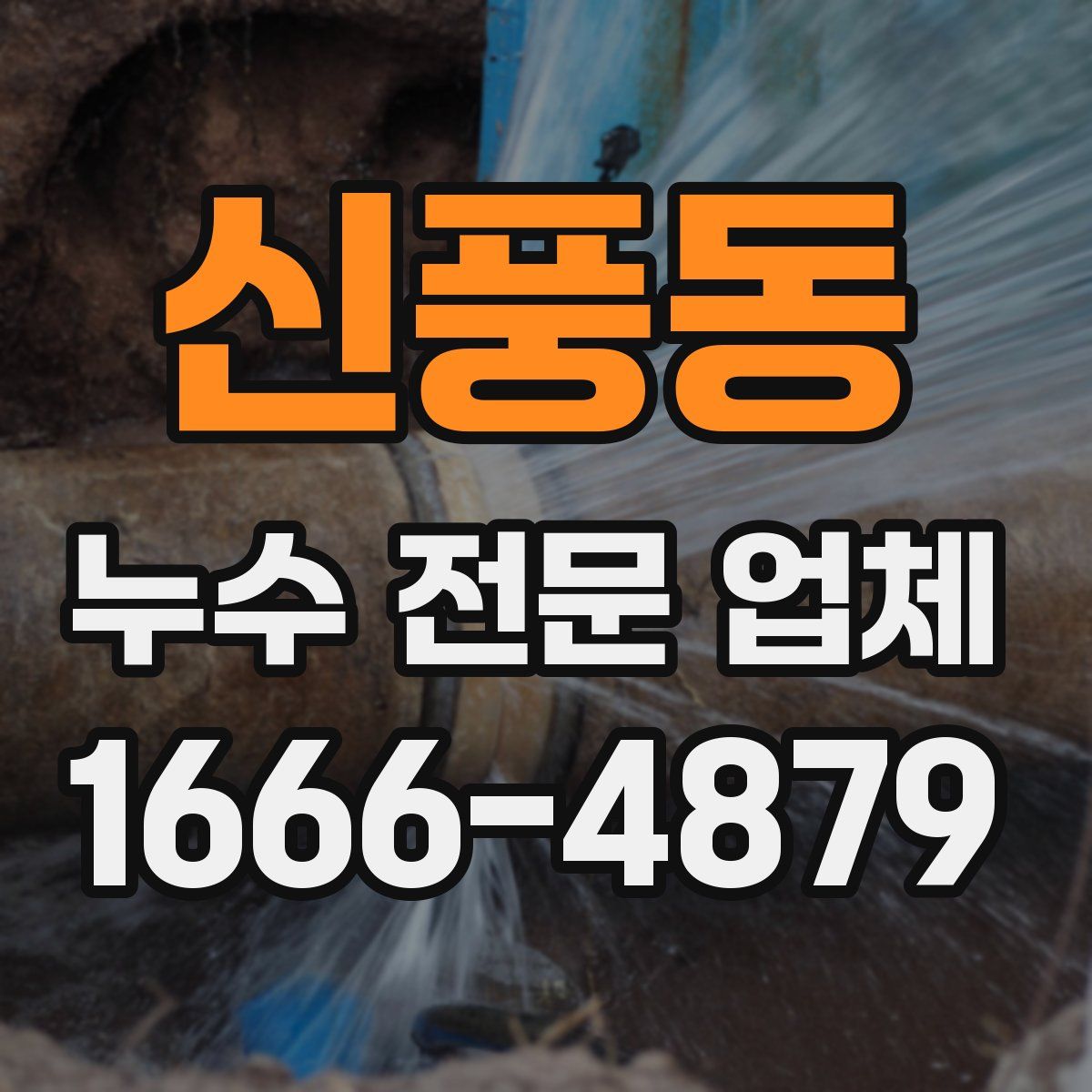 신풍동 누수 전문 업체