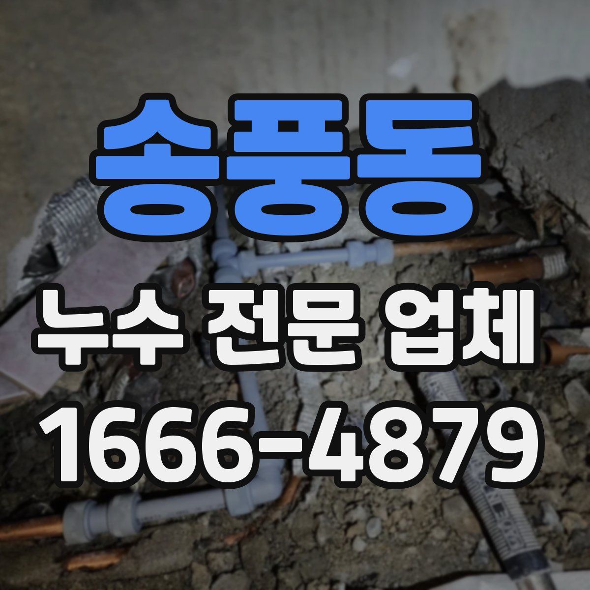 송풍동 누수 전문 업체