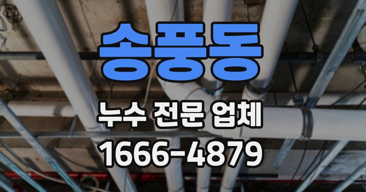송풍동 누수 전문 업체