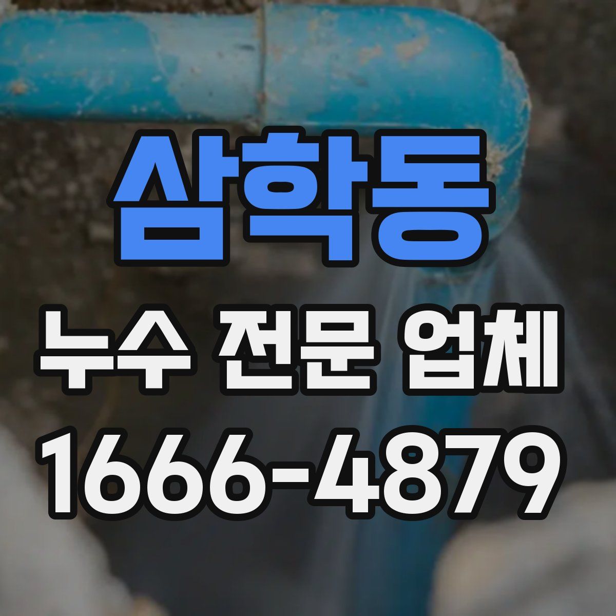 삼학동 누수 전문 업체
