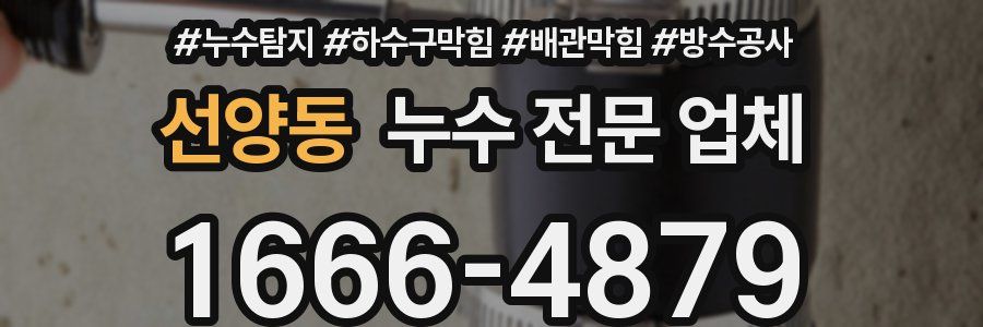 선양동 누수 전문 업체