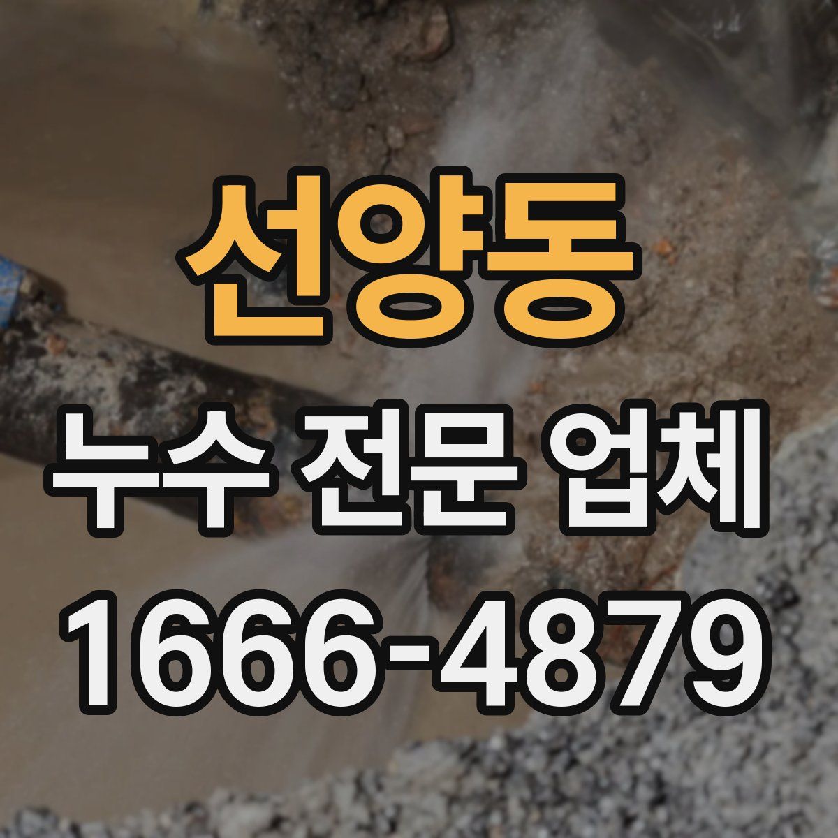 선양동 누수 전문 업체