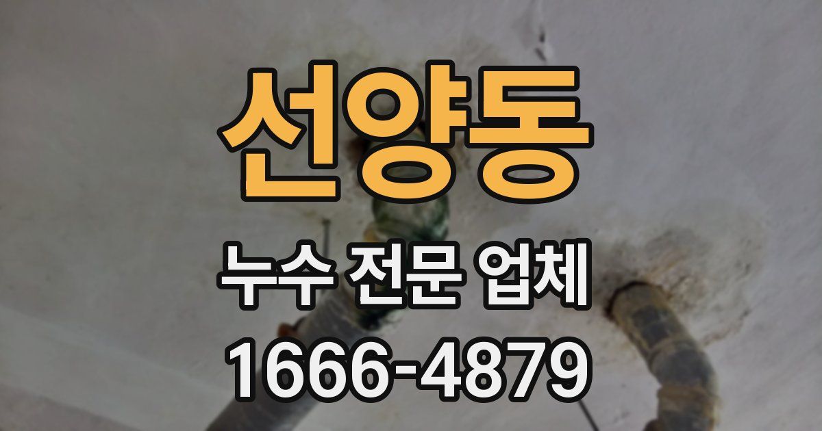 선양동 누수 전문 업체