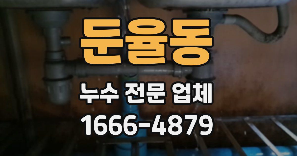 둔율동 누수 전문 업체