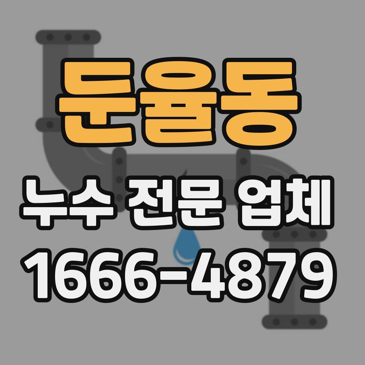 둔율동 누수 전문 업체