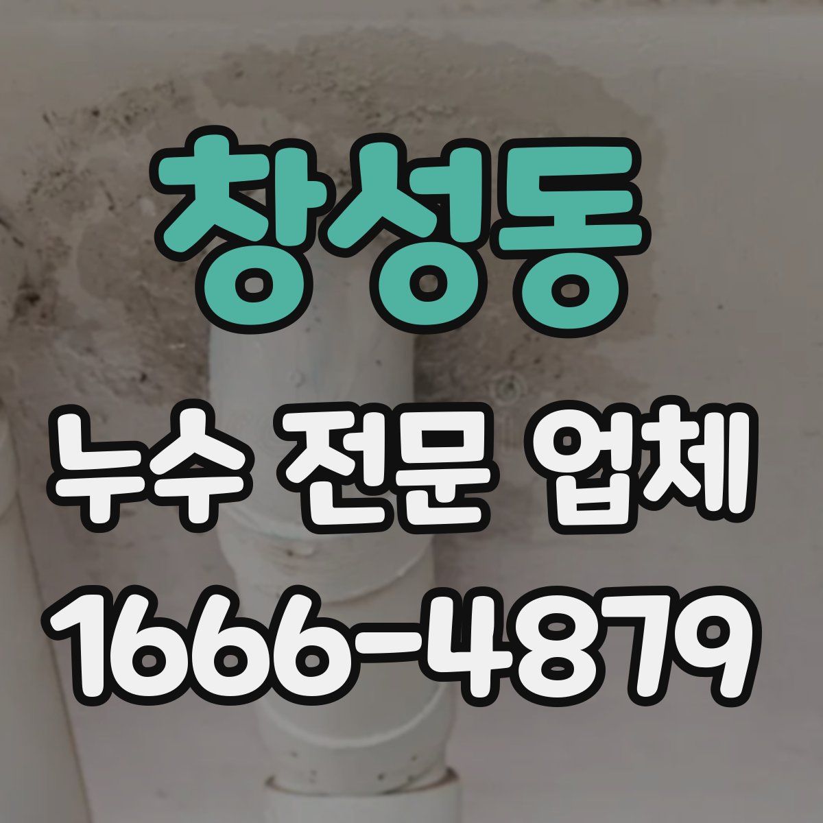 창성동 누수 전문 업체