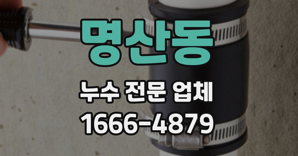 명산동 누수 전문 업체