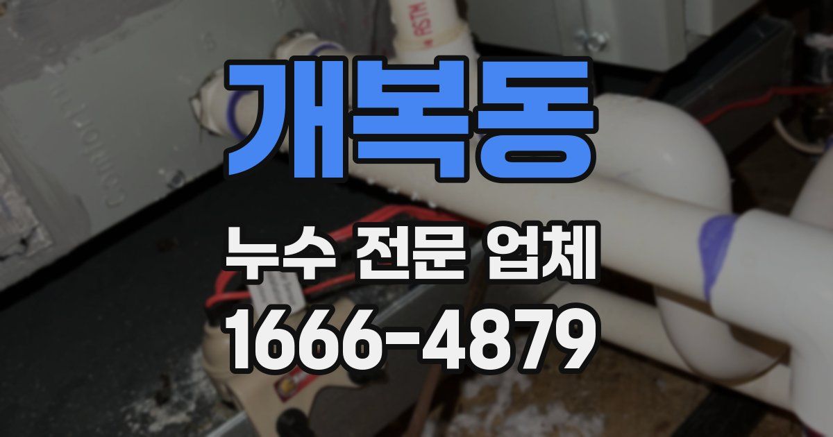 개복동 누수 전문 업체
