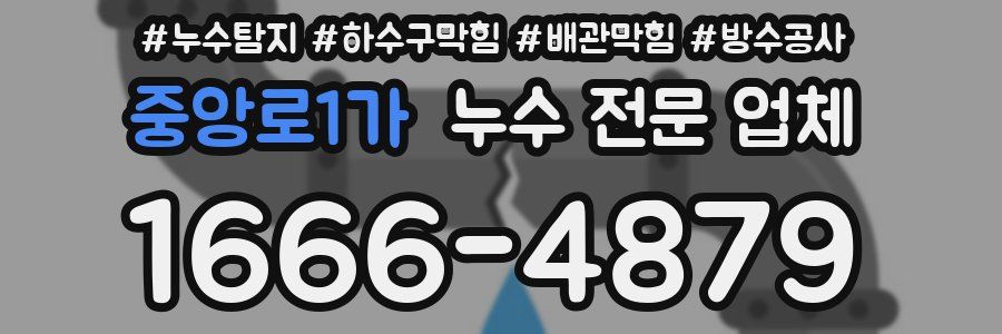 중앙로1가 누수 전문 업체