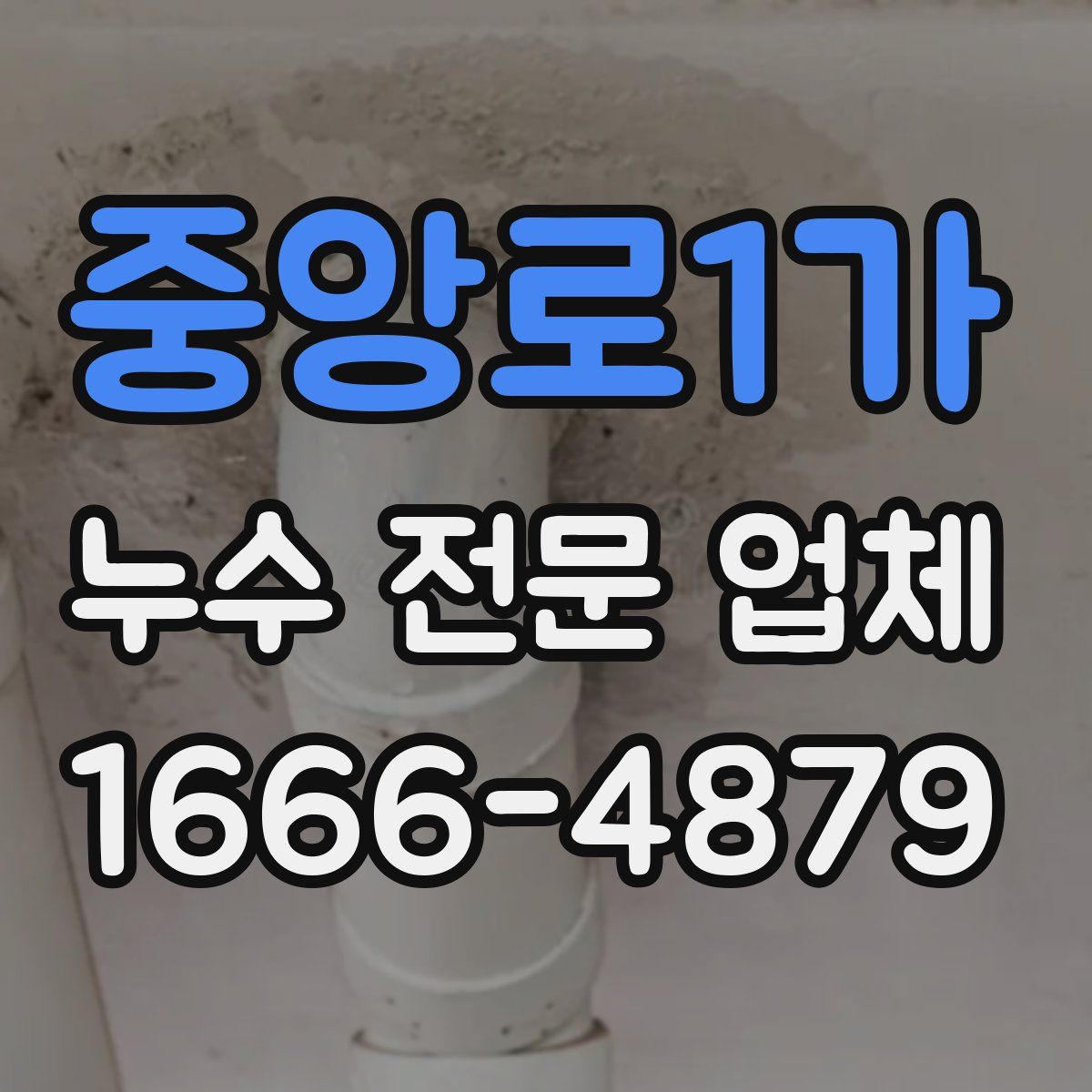 중앙로1가 누수 전문 업체
