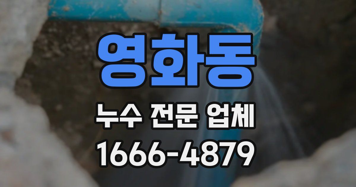 영화동 누수 전문 업체