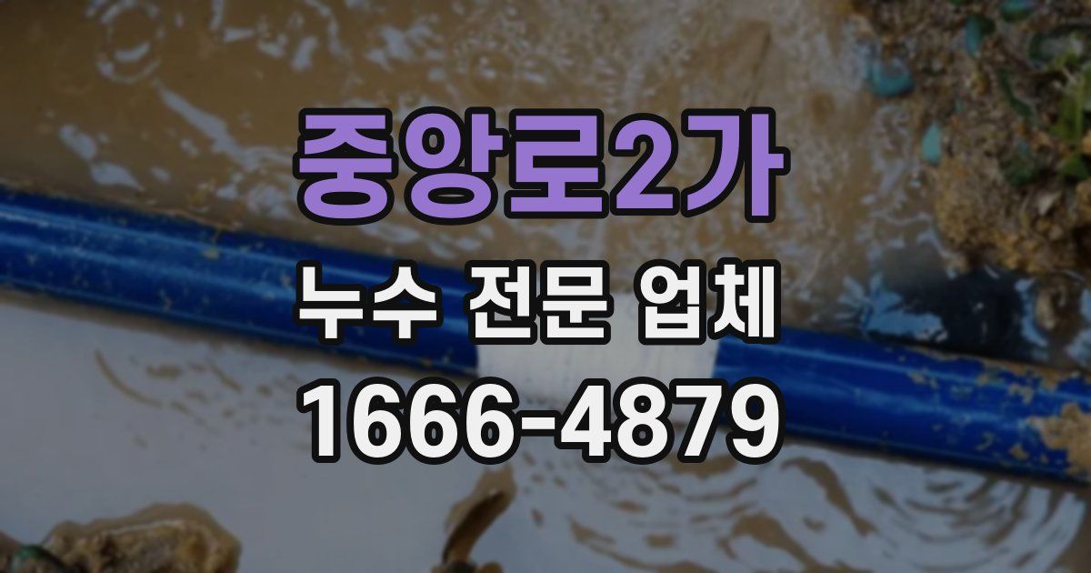 중앙로2가 누수 전문 업체