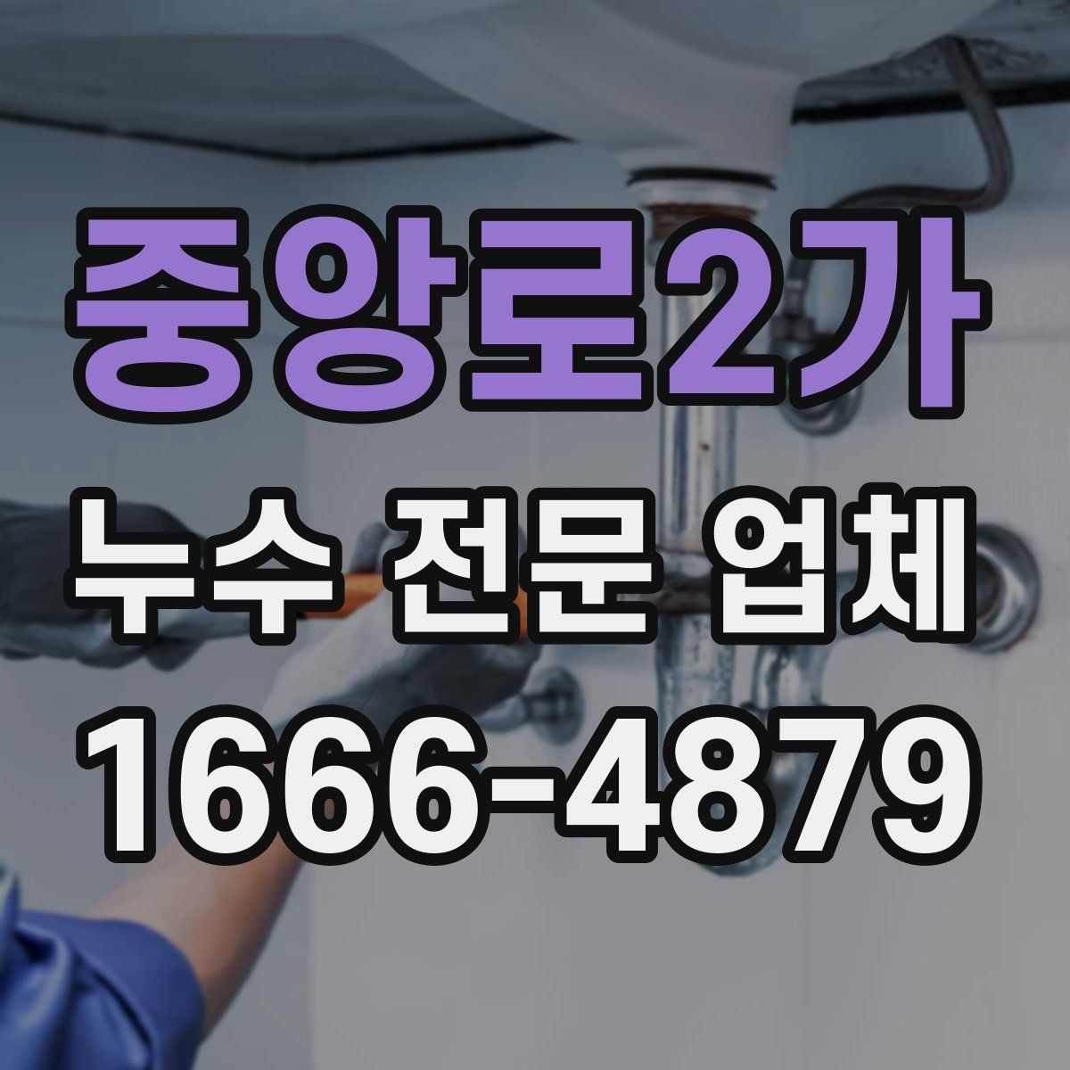 중앙로2가 누수 전문 업체