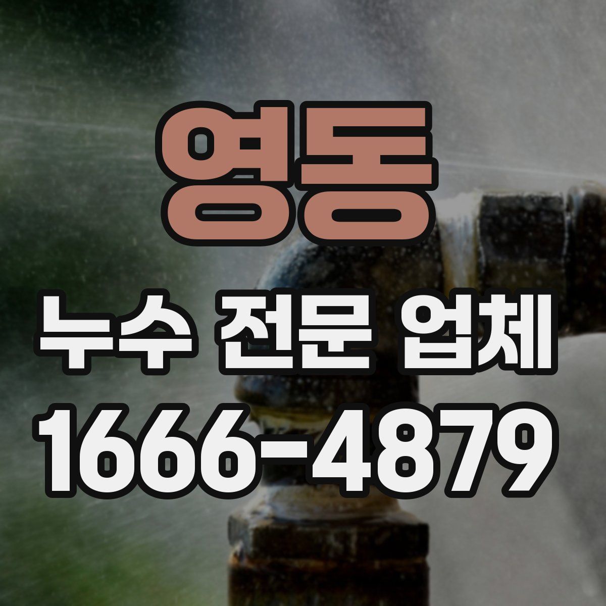 영동 누수 전문 업체