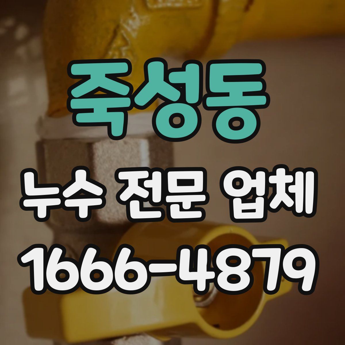 죽성동 누수 전문 업체