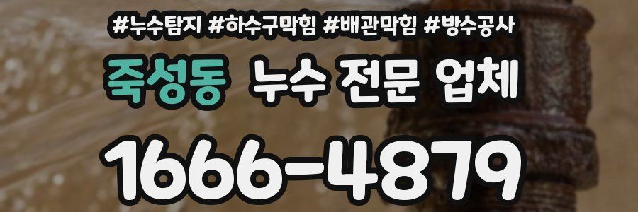 죽성동 누수 전문 업체