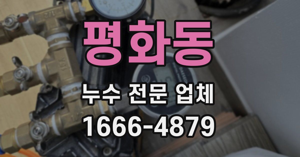 평화동 누수 전문 업체