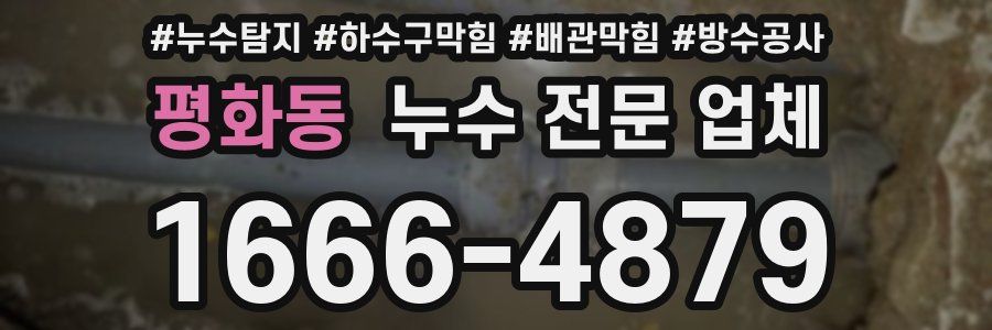 평화동 누수 전문 업체