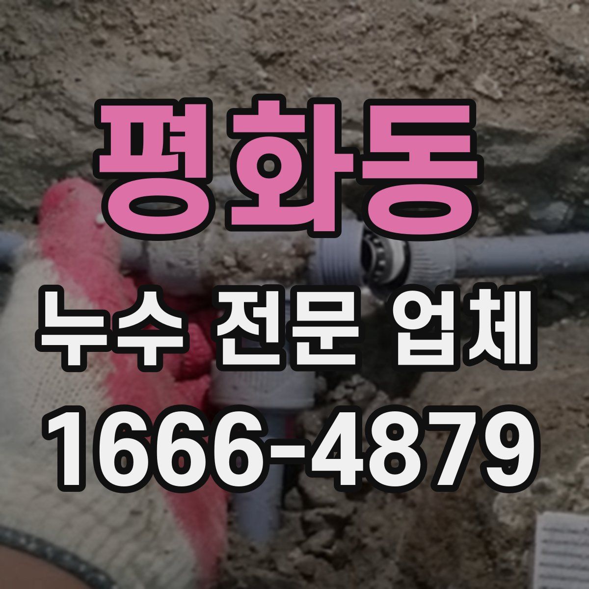 평화동 누수 전문 업체