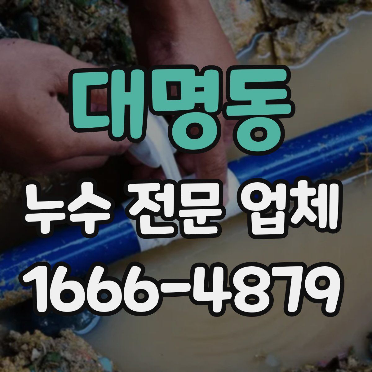 대명동 누수 전문 업체