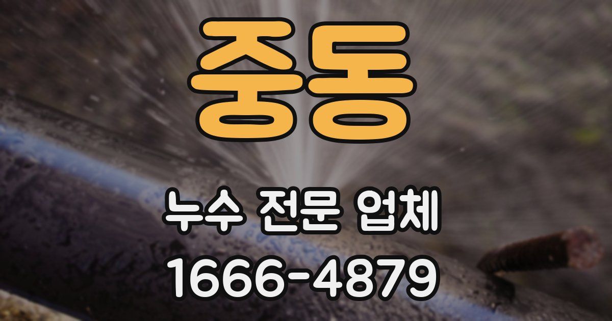 중동 누수 전문 업체