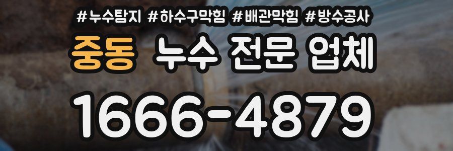 중동 누수 전문 업체