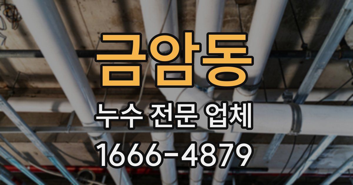 금암동 누수 전문 업체
